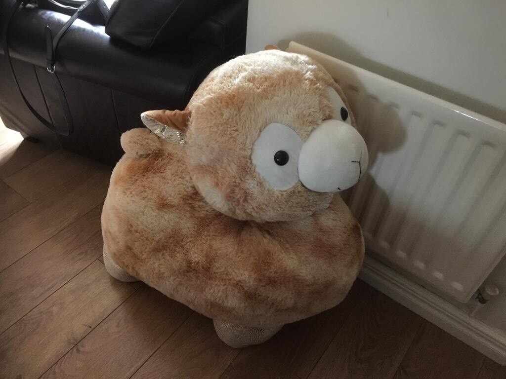 teddy lama